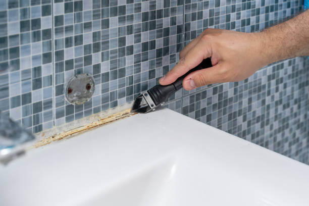 Best Professional Mold Removal  in Lake Tansi, TN