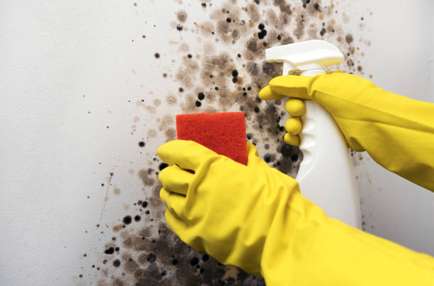 Water Damage Restoration in Lake Tansi, TN